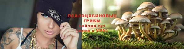 a pvp Алексин