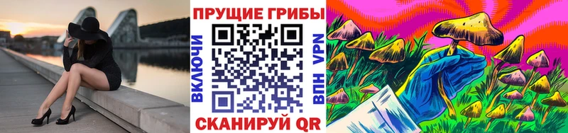 Псилоцибиновые грибы мицелий  Тверь 